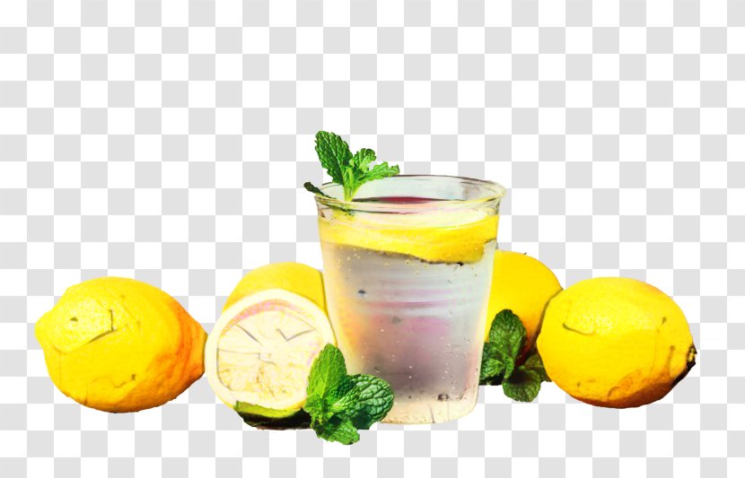 Lemonade Juice Lemon-lime Drink Fizzy Drinks - Cocktail Garnish Transparent PNG