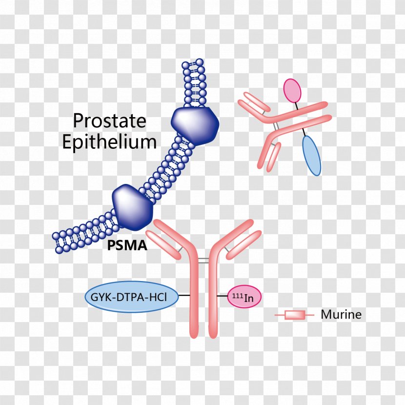 Obinutuzumab Vemurafenib Trastuzumab Emtansine Rituximab Pharmaceutical Drug - Progressionfree Survival - Meningococcal Vaccine Transparent PNG