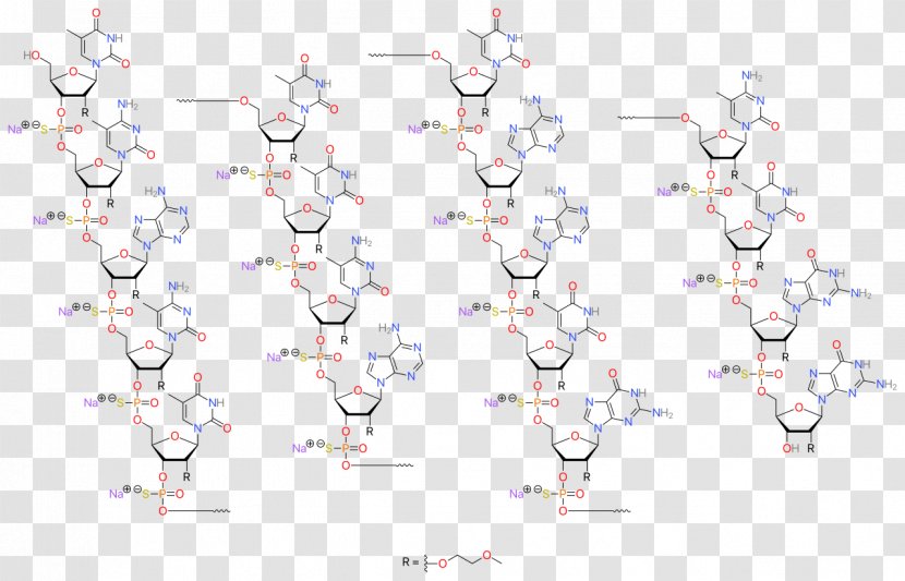 Mipomersen Nusinersen Pharmaceutical Drug RNA Oligonucleotide - Messenger Rna - Tree Transparent PNG
