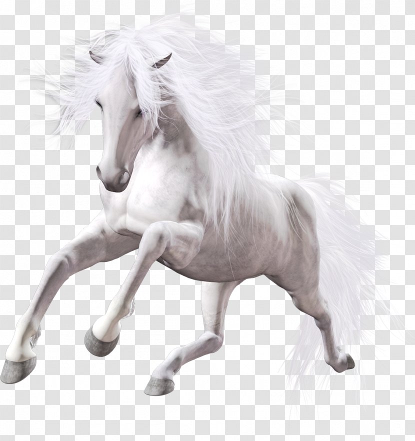 American Paint Horse Foal White Clip Art - Mane - Antelop Transparent PNG