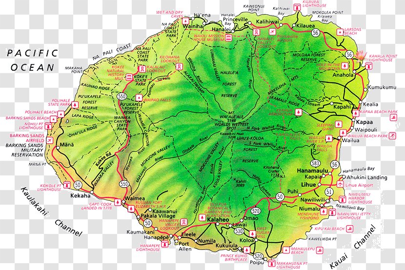 Princeville Road Map Lihue, Hawaii Hotel - Organism Transparent PNG