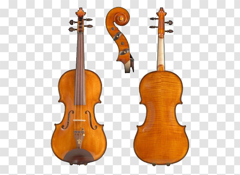 Electric Violin Viola Cello Double Bass - Flower Transparent PNG