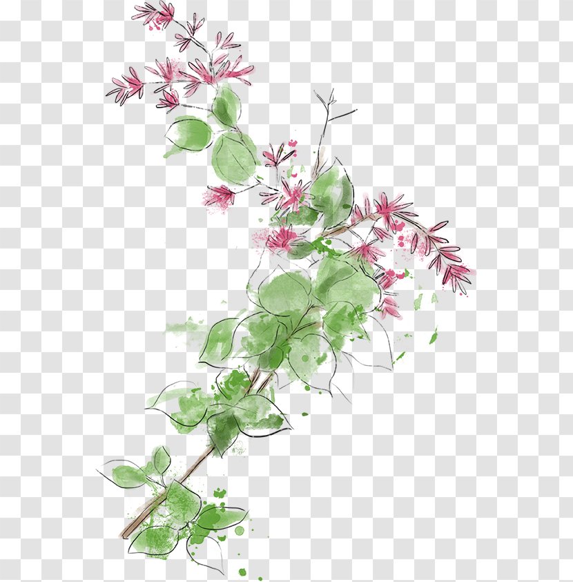 Floral Design Flower Petal - Croquis Transparent PNG