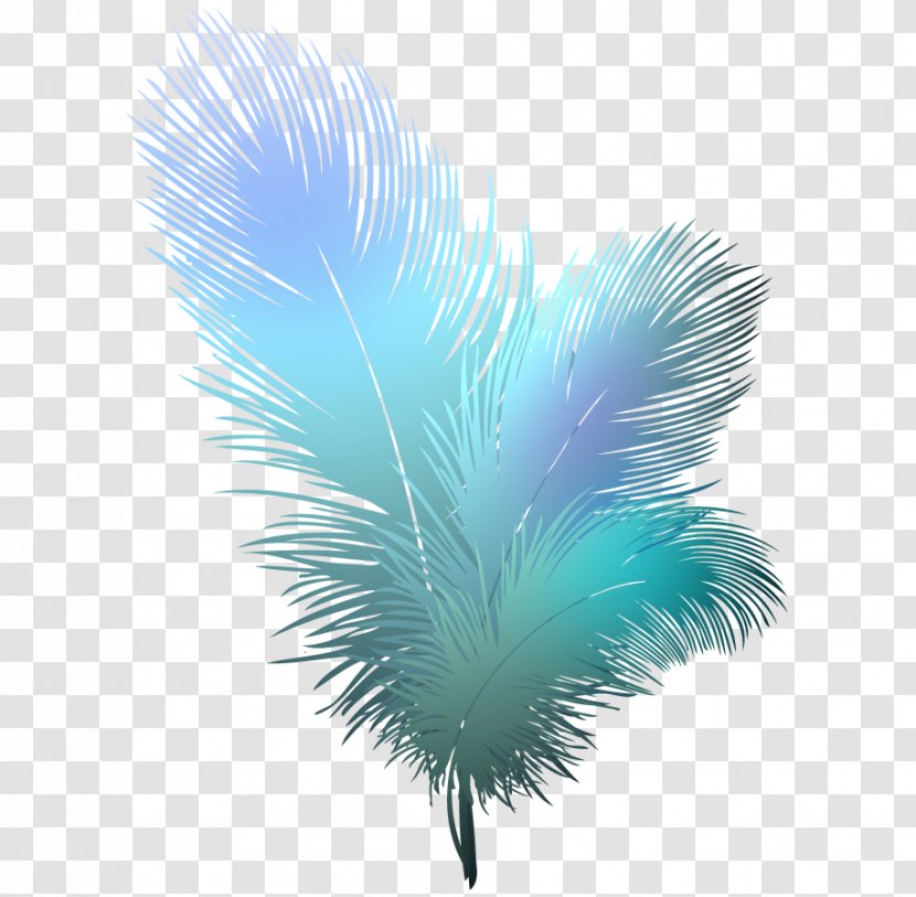 Bird Feather Clip Art - Drawing Transparent PNG