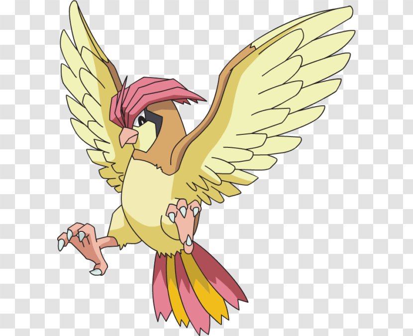 Pokémon Crystal Pikachu Battle Revolution X And Y Pidgeot - Pokedex Transparent PNG