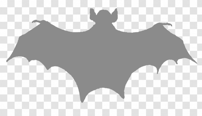 Bat Silhouette Clip Art - Photography Transparent PNG