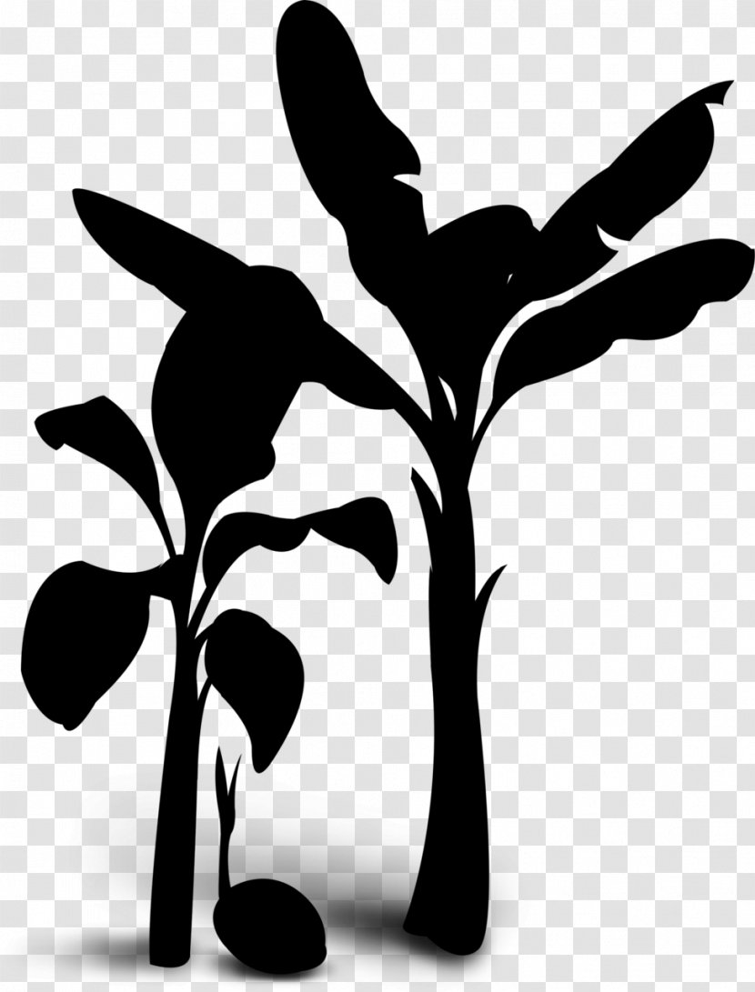 Black & White - Art - M Clip Flower Silhouette Leaf Transparent PNG