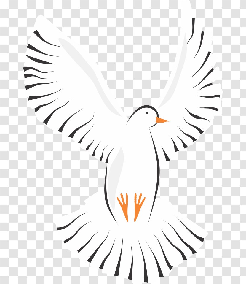 Columbidae Homing Pigeon Clip Art - Bird - Feather Transparent PNG