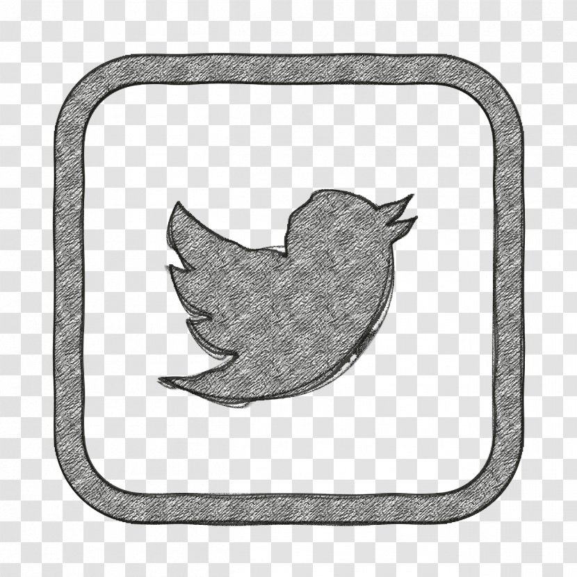 Social Media Icon - Tail - Silver Plant Transparent PNG