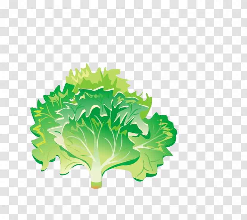 Health Shake Leaf Vegetable Food Tomato - Tree - Green Vegetables Transparent PNG