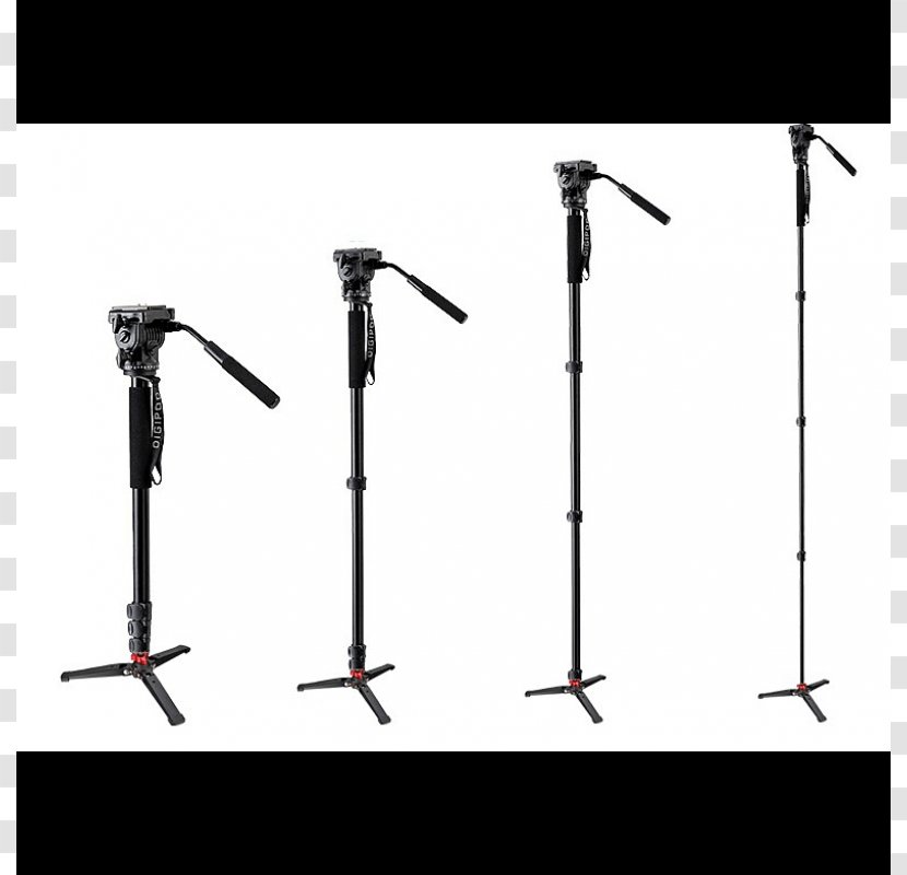 Monopod Tripod Photography Video Cameras - Silhouette - Camera Transparent PNG