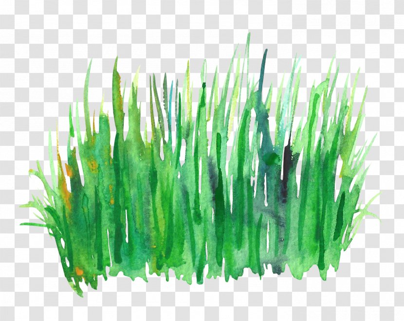 Green Watercolor Painting - Grass Transparent PNG