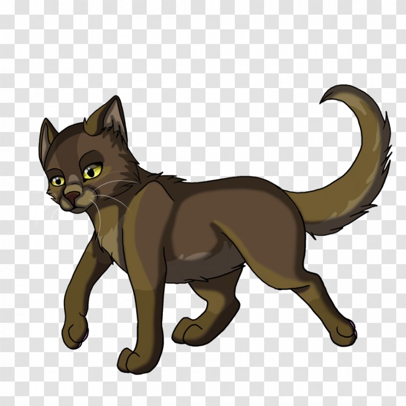 Kitten Whiskers Warriors Cat Mousefur - Dog Like Mammal Transparent PNG