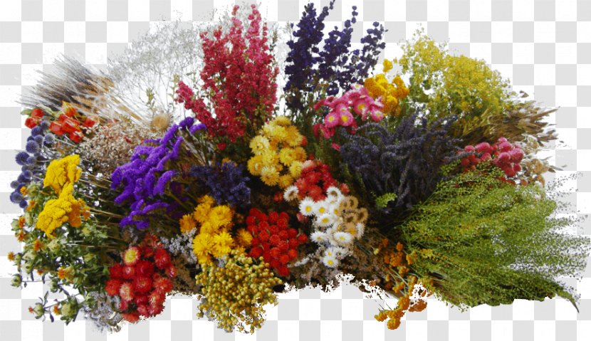 Floral Design Cut Flowers Plant Artificial Flower - Flora Transparent PNG