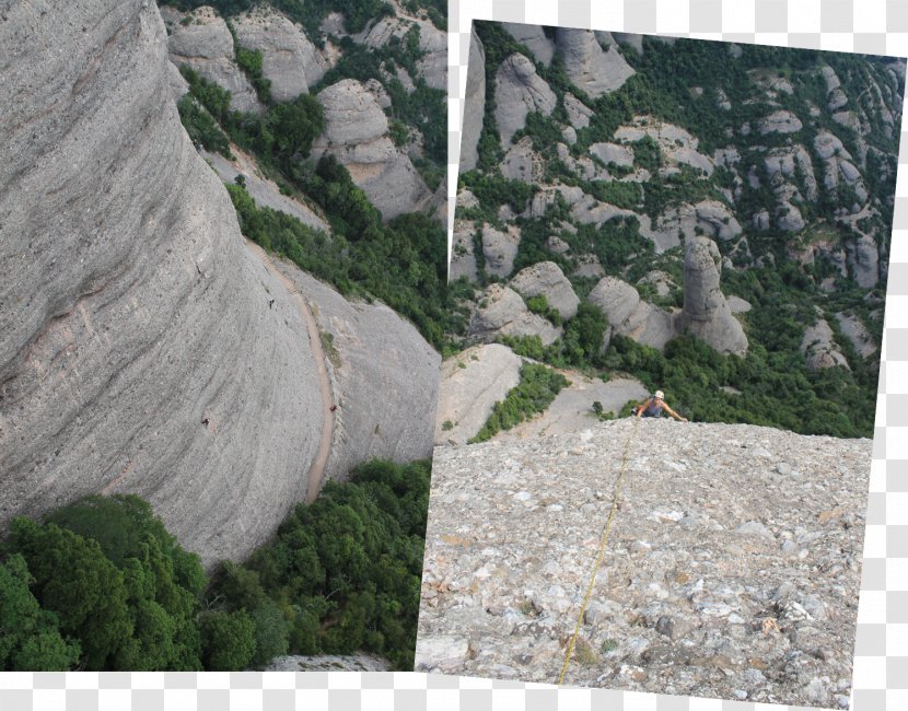 Geology Tree Santa Maria De Montserrat Abbey Phenomenon - Geological Transparent PNG