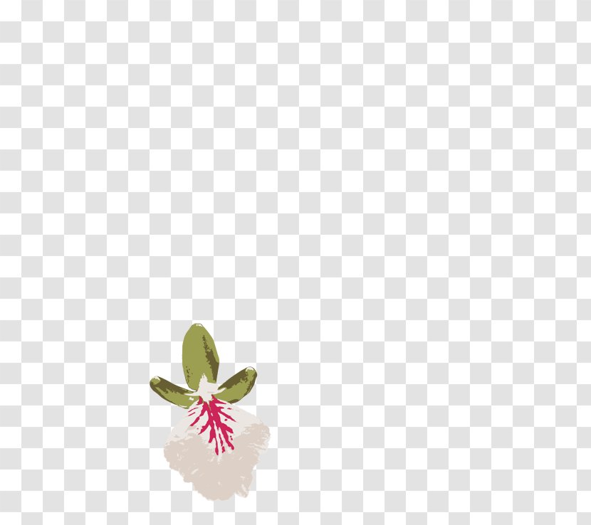 Flowering Plant - Petal - Grapefruit Coconut And Lime Transparent PNG