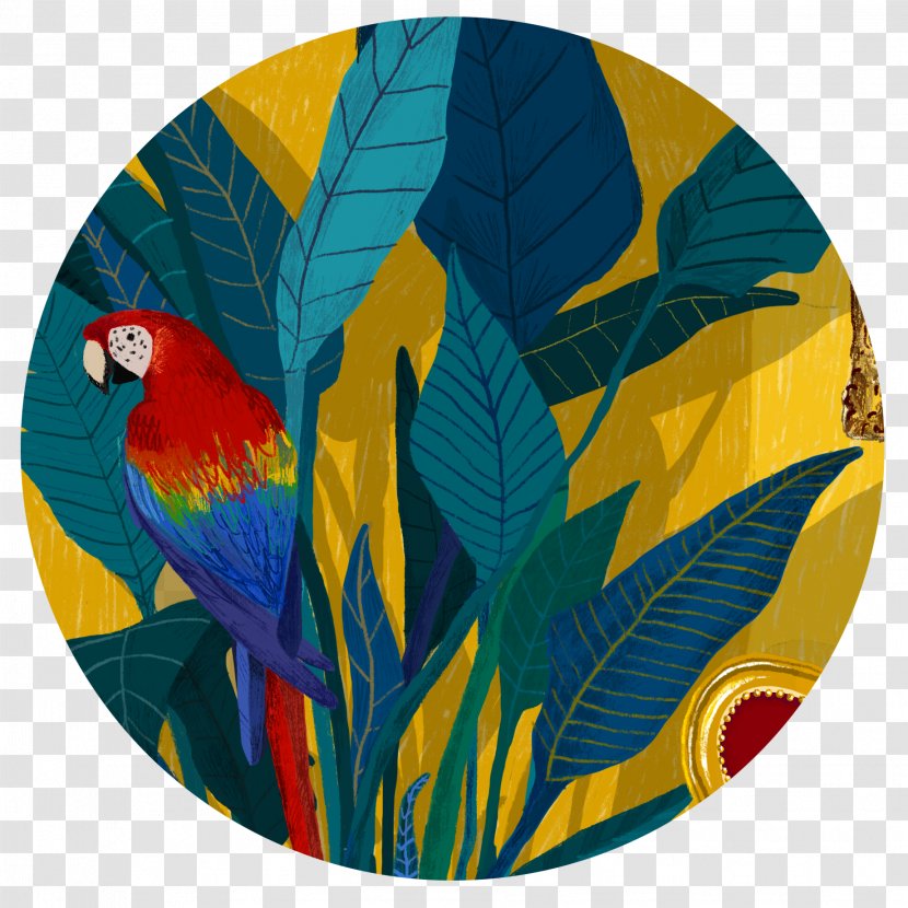 Bird Parrot Transparent PNG