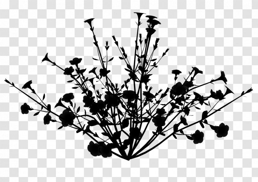 Twig Plant Stem Flower Leaf Font - Blackandwhite Transparent PNG