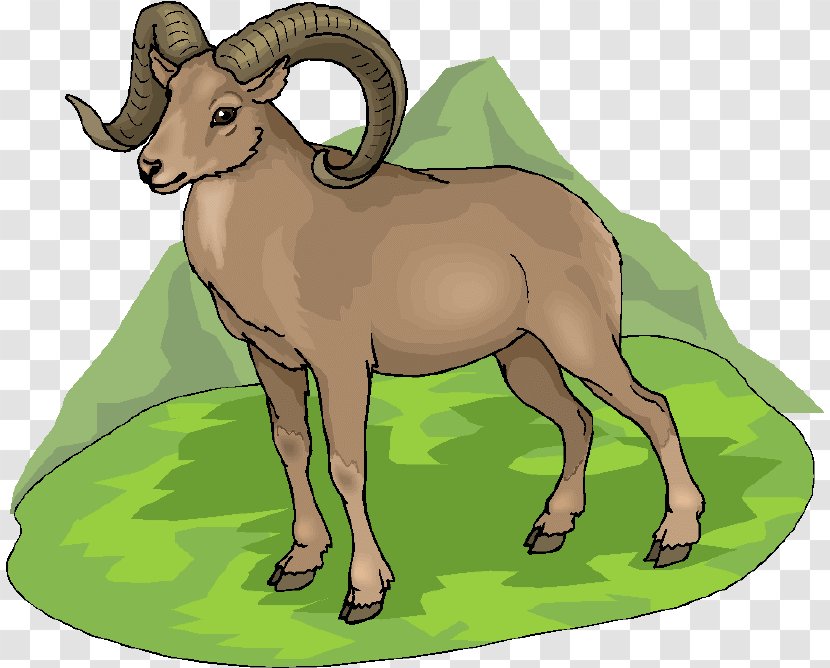 Barbary Sheep Argali Horse Animal - Donkey Transparent PNG