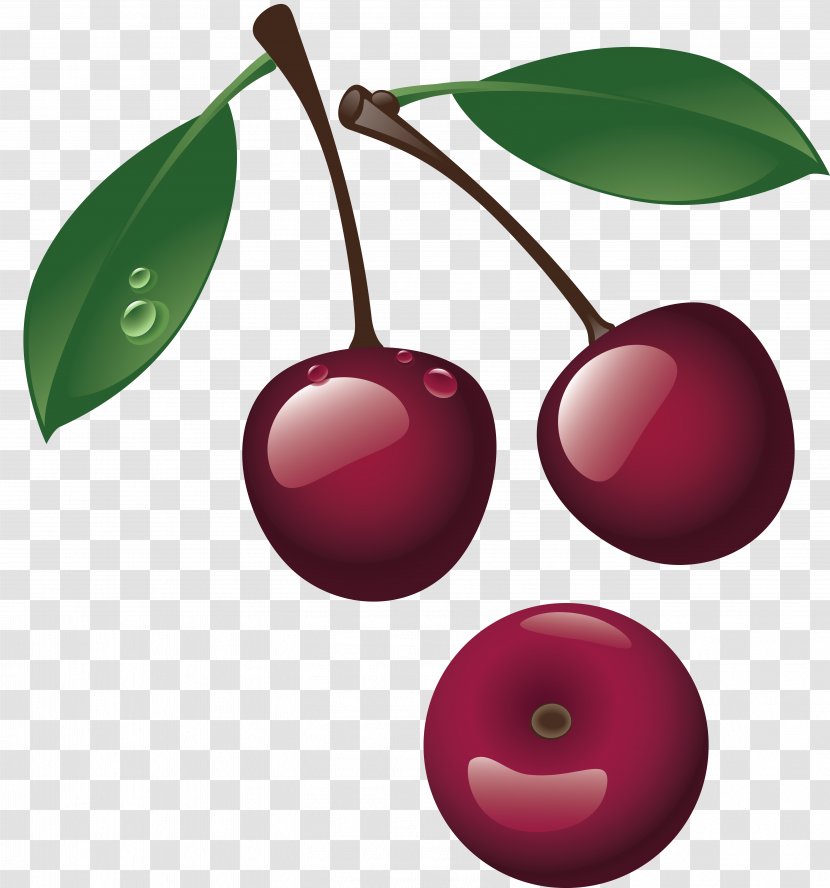 Cherry - Raspberry Transparent PNG