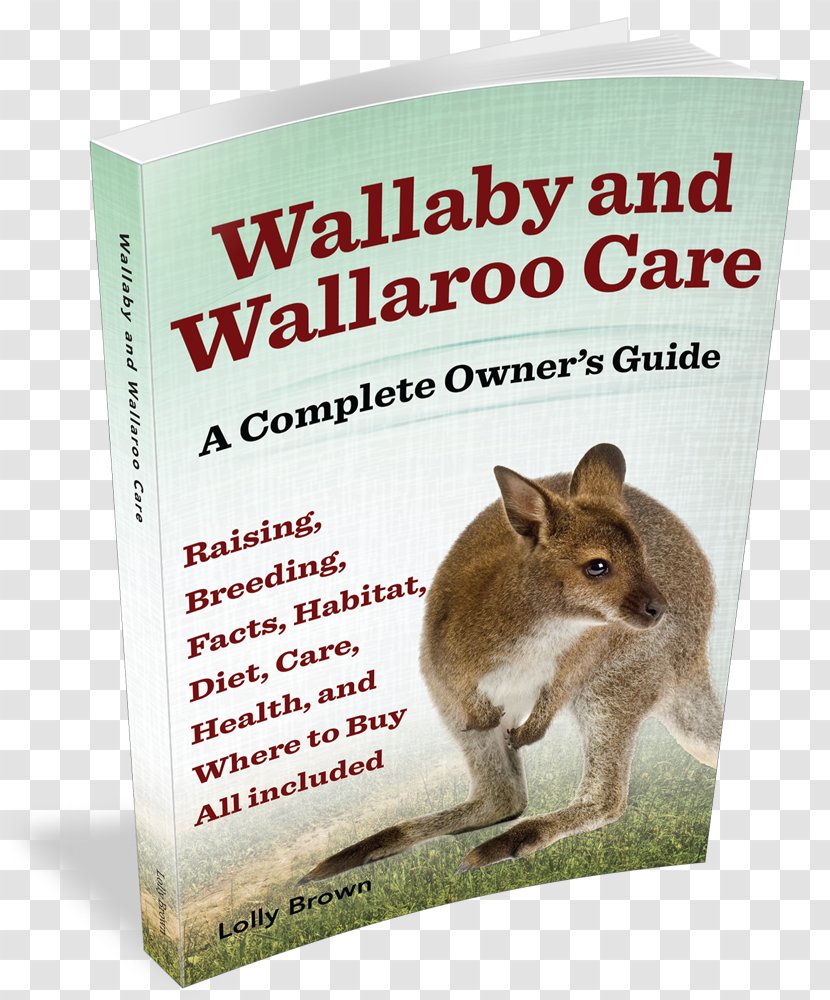 Wallaby And Wallaroo Care: A Complete Owner's Guide Rabbit Reserve Axolotl - Rabits Hares Transparent PNG