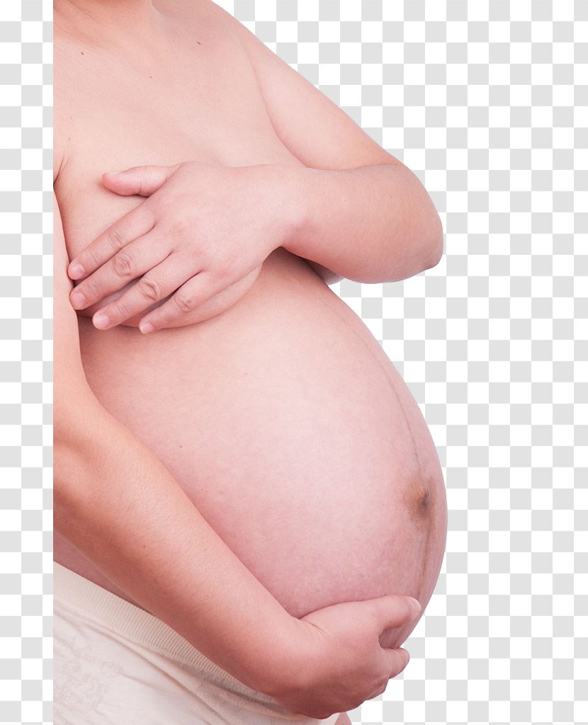 Abdomen Mother Pregnancy Woman - Heart - Pregnant Woman,belly,pregnancy,Mother,Pregnant Transparent PNG