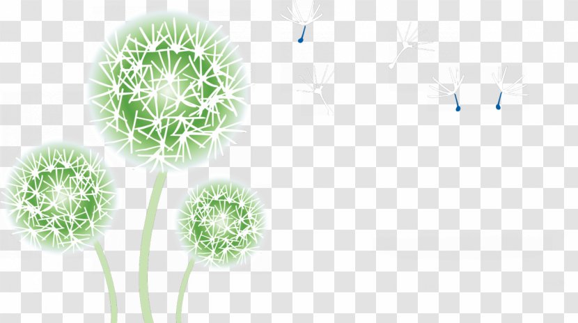 Common Dandelion Taraxacum Platycarpum Flower Plant - Stem Transparent PNG