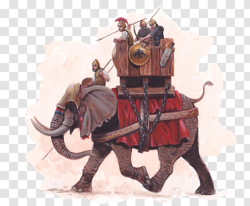 Punic Wars Ancient Carthage Second War Elephant Transparent PNG