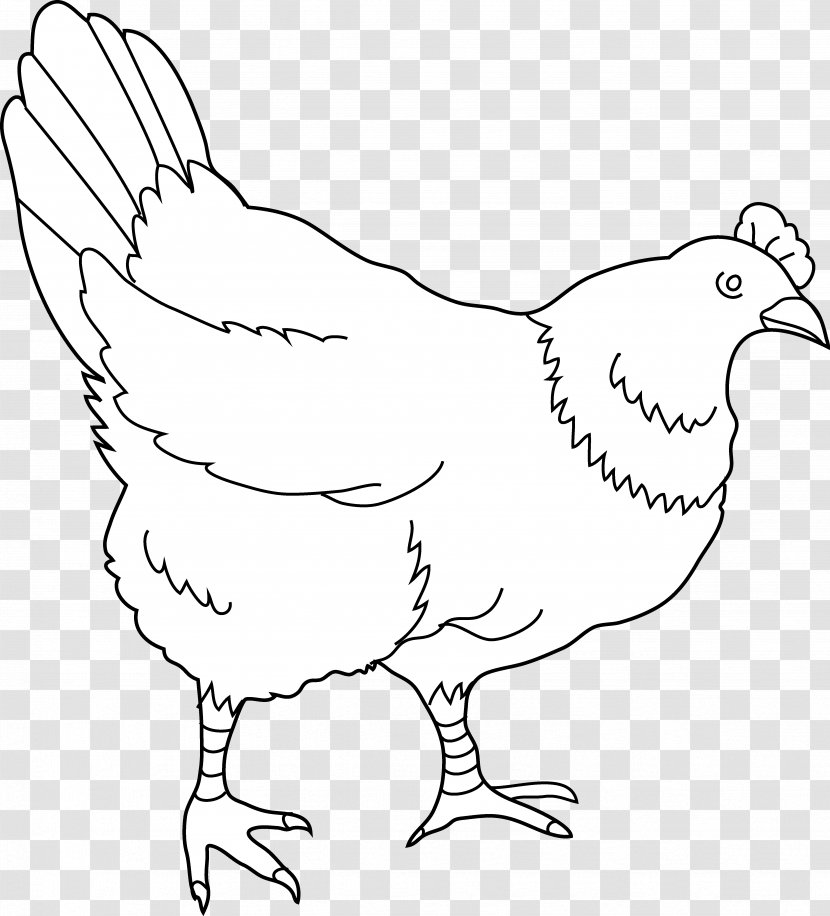 Chicken Drawing Black And White Clip Art - Neck - Hen Transparent PNG