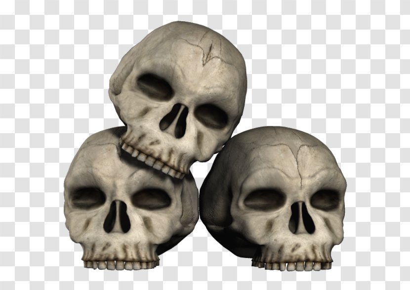 IPhone 5s 5c Skull Clip Art - Bone - Transparent Skulls Clipart Transparent PNG