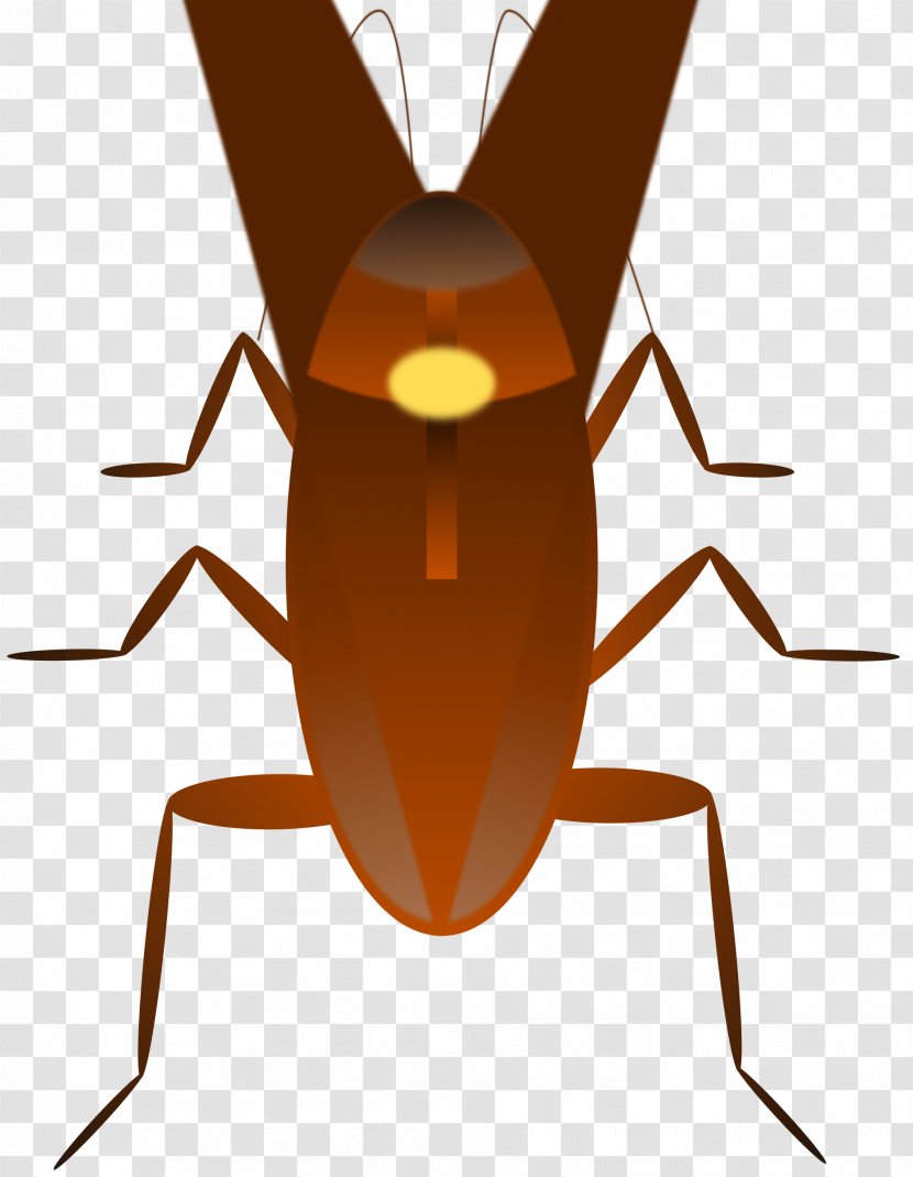 Dr. Cockroach Insect Clip Art - Pest - Roach Transparent PNG