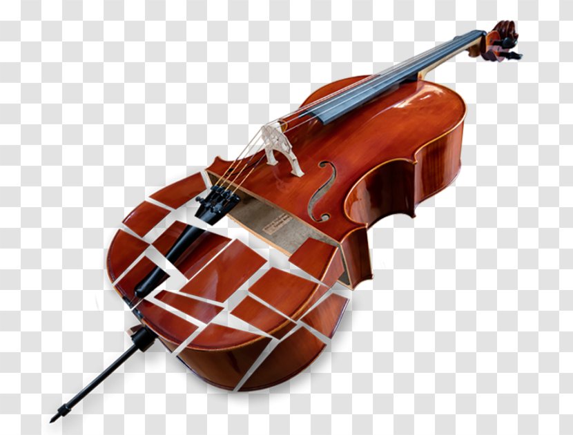 Bass Violin Violone Viola Double Tololoche - String Instrument Transparent PNG