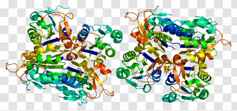 Thymidine Kinase 1 Protein GNAT1 - Cell Transparent PNG