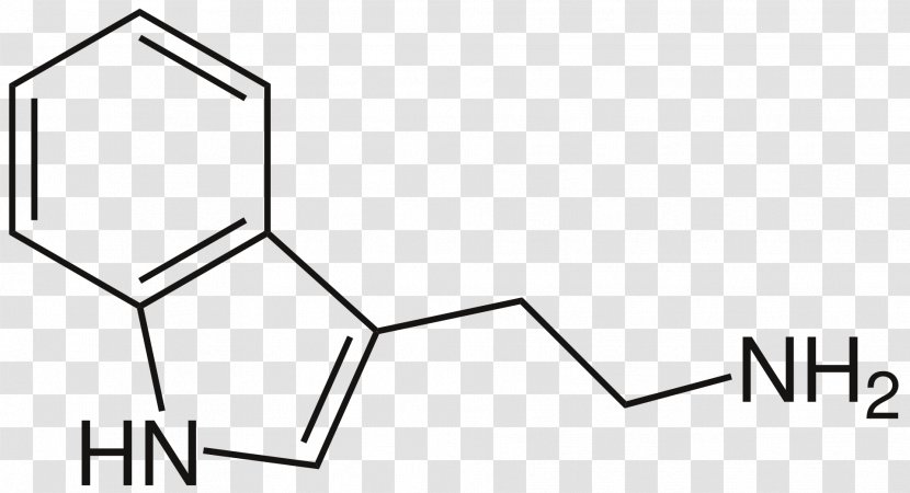 N,N-Dimethyltryptamine Indole 4-HO-DET Dipropyltryptamine - Text - Brand Transparent PNG