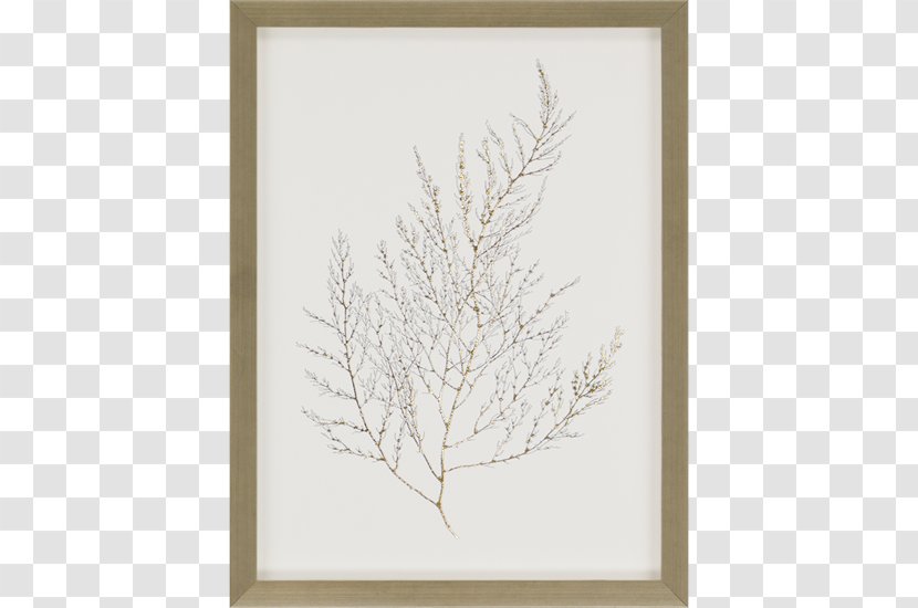 Picture Frames Wall Decal Painting Mirror - Twig - Photography Molding Transparent PNG