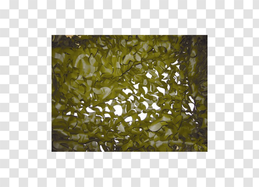 Camouflage Hide.net Hunting - Retail - Strong And Handsome Transparent PNG