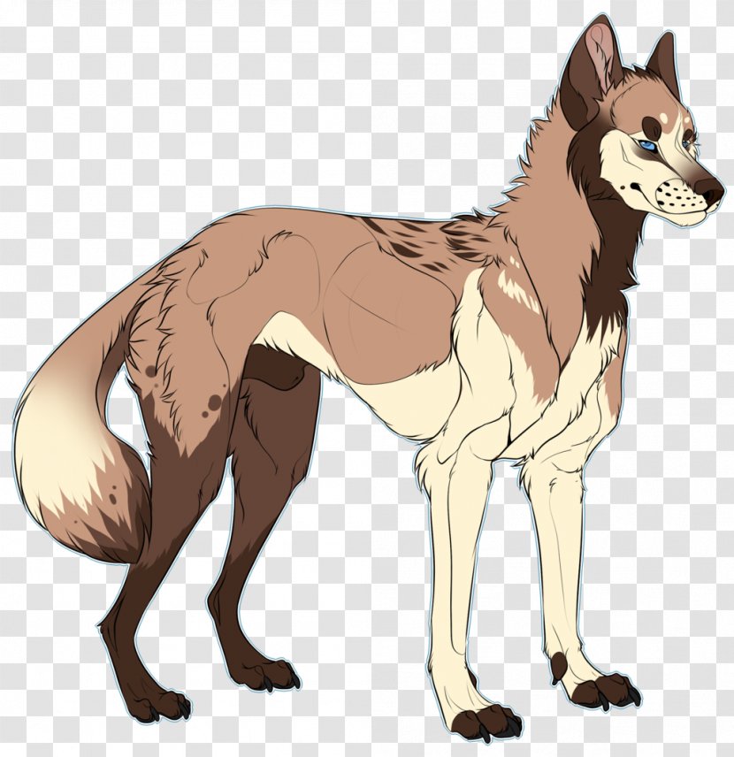 Dog Breed Jackal Cartoon - Character Transparent PNG