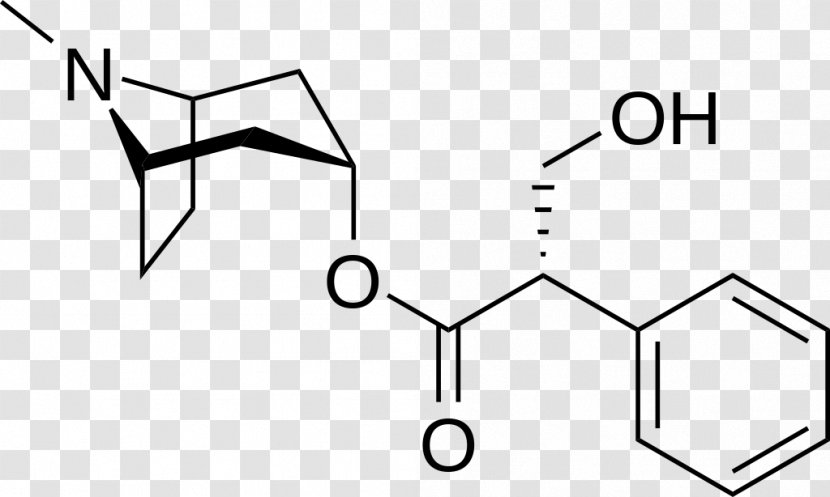 Hyoscyamus Niger Hyoscyamine Belladonna Hyoscine Atropine - Brand - Photosensitive Transparent PNG