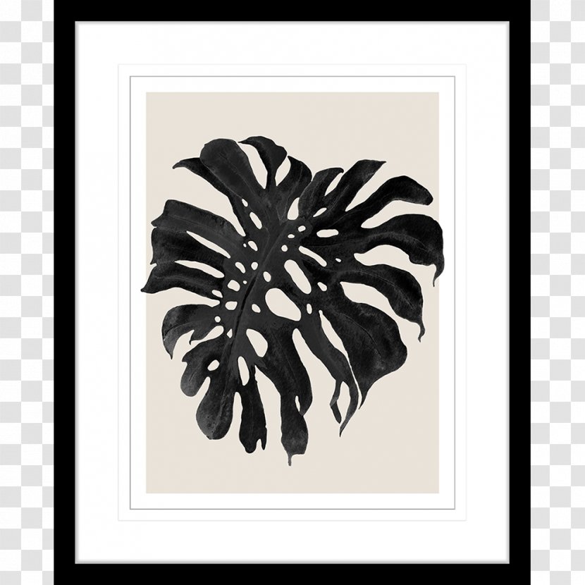 Picture Frames Photography Clip Art - Black And White - Modern Transparent PNG