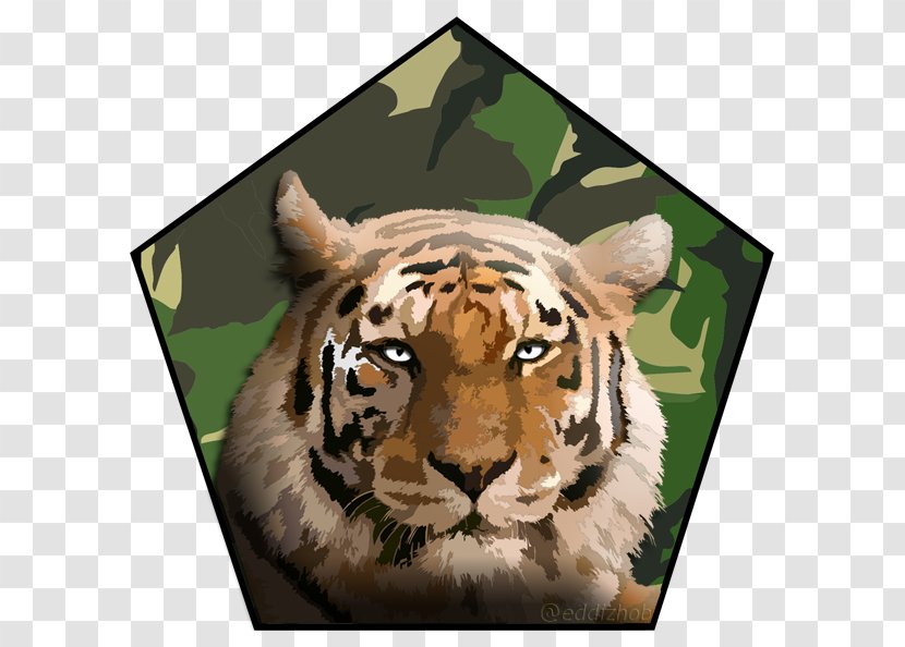 Tiger Lion Deseo, Pasion Y Espiritualidad: La Unidad Del Ser Whiskers Cat - Big Transparent PNG