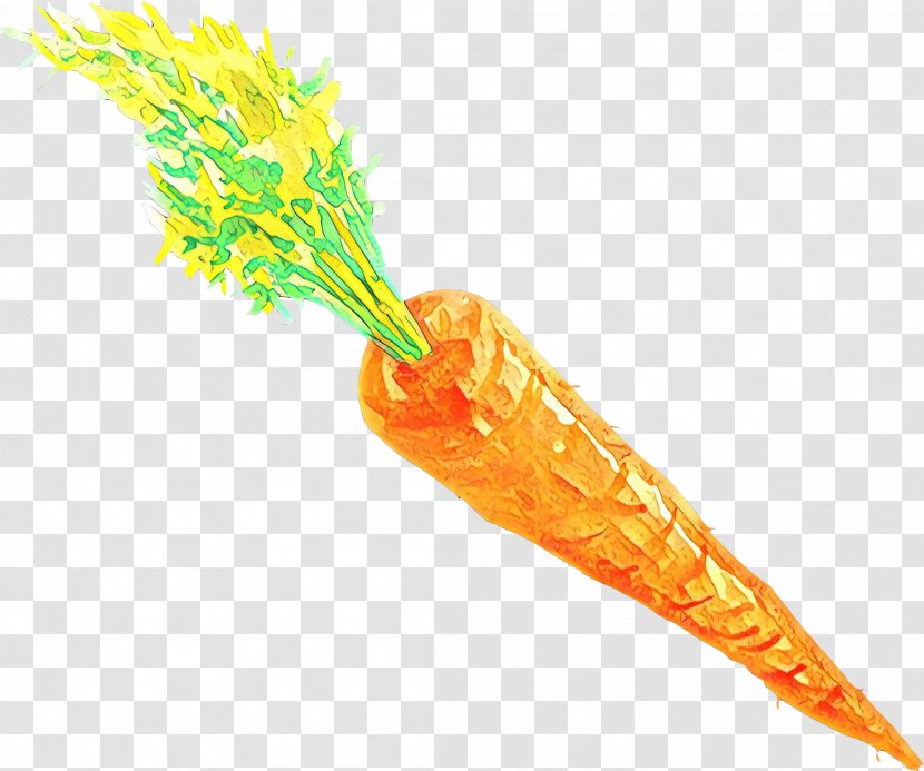 Carrot Cartoon - Vegetable Plant Transparent PNG