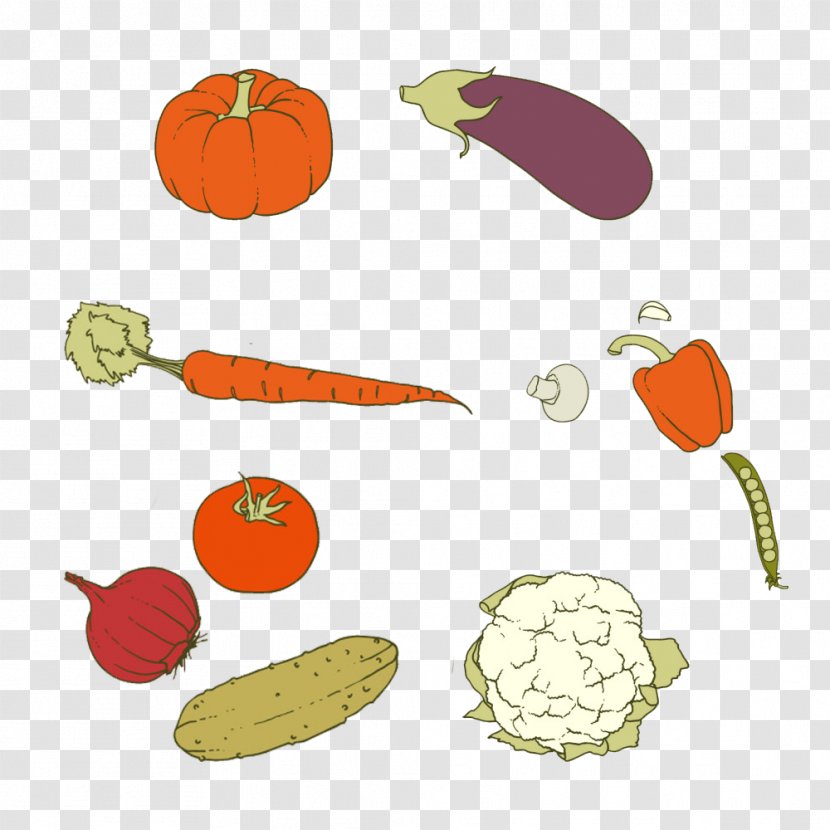 Carrot Vegetarian Cuisine Vegetable Pumpkin - Herb - Fresh Vegetables Figure Transparent PNG