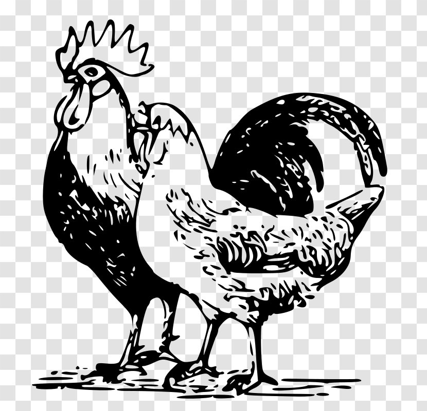 Chicken Goose Poultry Rooster - Food Transparent PNG