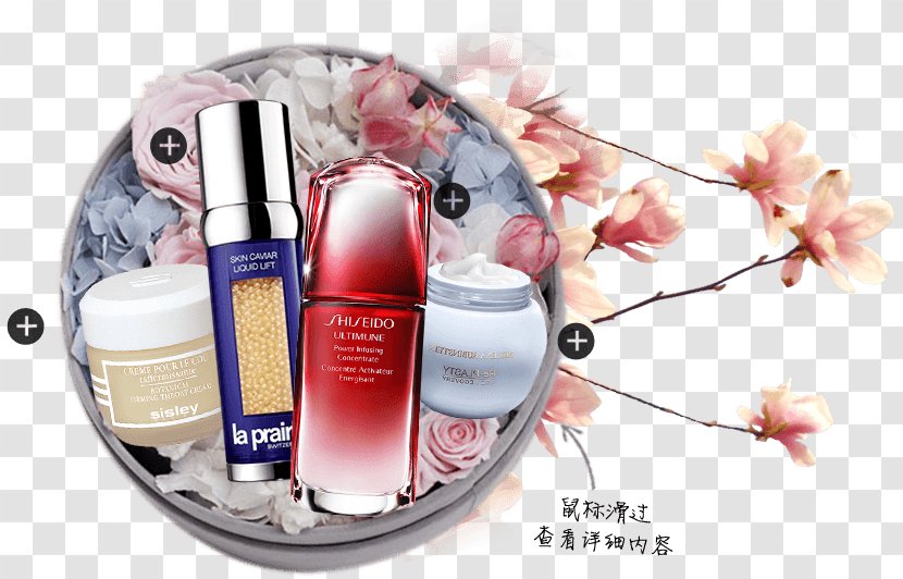 Perfume Beauty.m Cloud Transparent PNG
