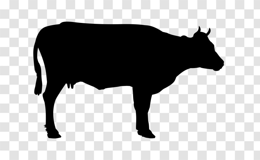 Holstein Friesian Cattle Angus Welsh Black Beef Hereford - Ox - Livestock Transparent PNG