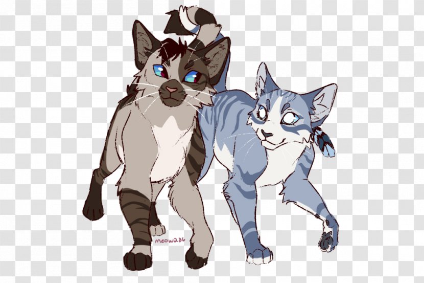 Kitten Cat The Sun Trail Warriors - Cartoon Transparent PNG