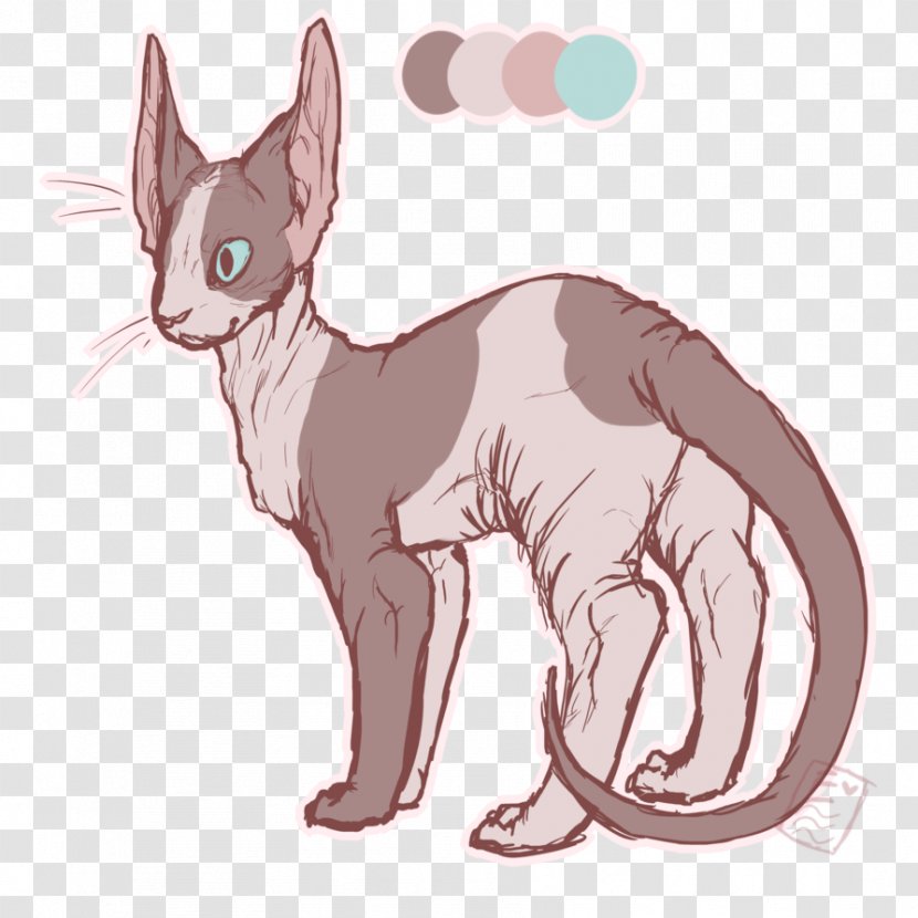 Whiskers Kitten Domestic Short-haired Cat Sphynx Cornish Rex - Fictional Character Transparent PNG