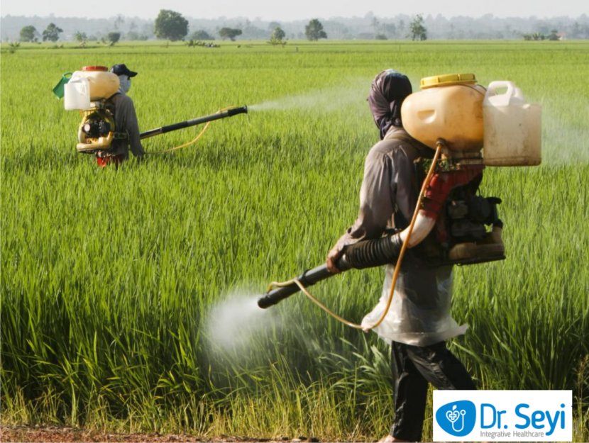 Herbicide Insecticide Fertilisers Water Pollution - Agriculture Transparent PNG