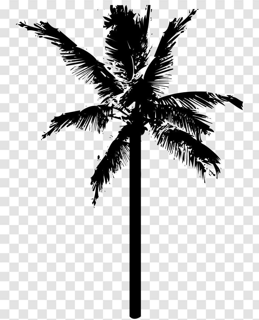 Coconut Tree Clip Art - Branch Transparent PNG