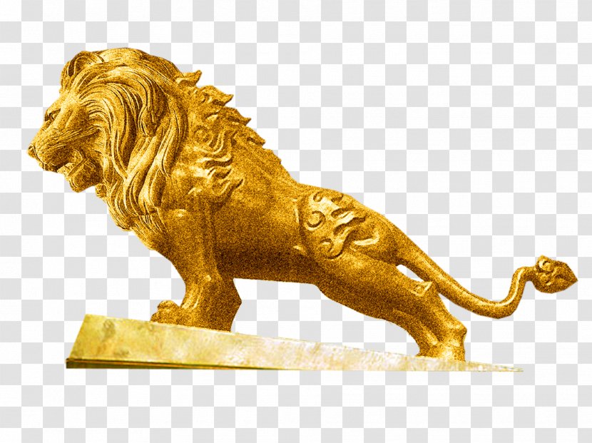 Lion Tiger - Big Cats - Golden Transparent PNG